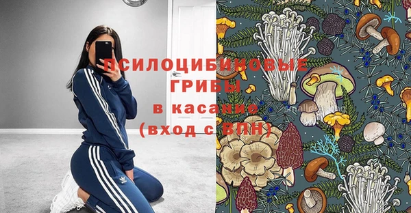 марки nbome Пересвет